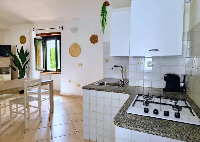 Le Arcada - Nel Cuore Del Centro Storico Di 奥罗塞伊